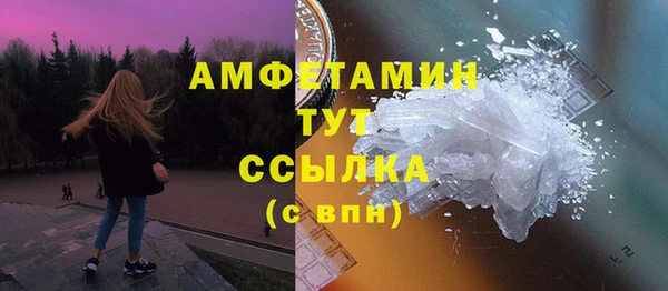 ПСИЛОЦИБИНОВЫЕ ГРИБЫ Бородино